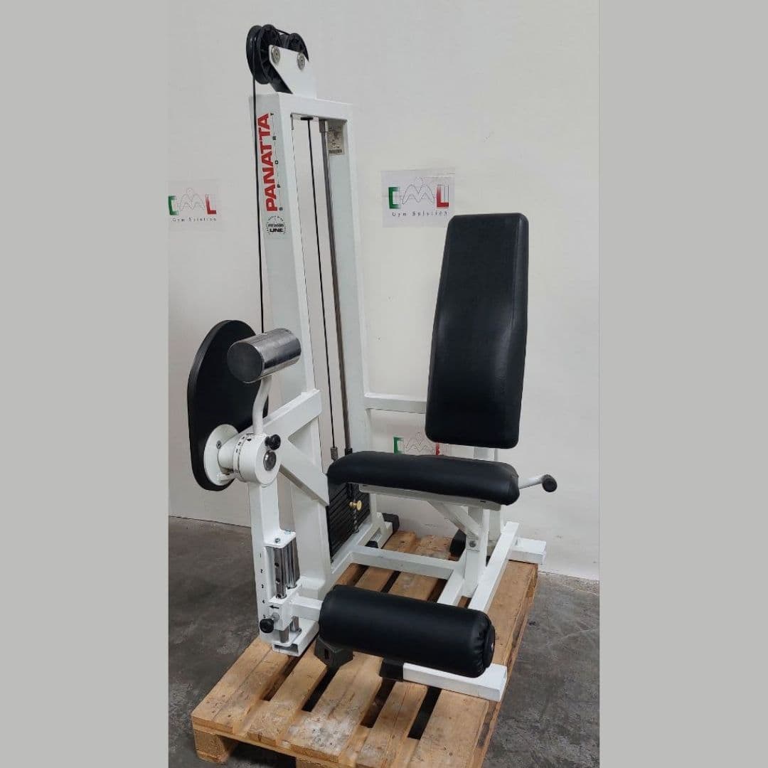 Leg Extension